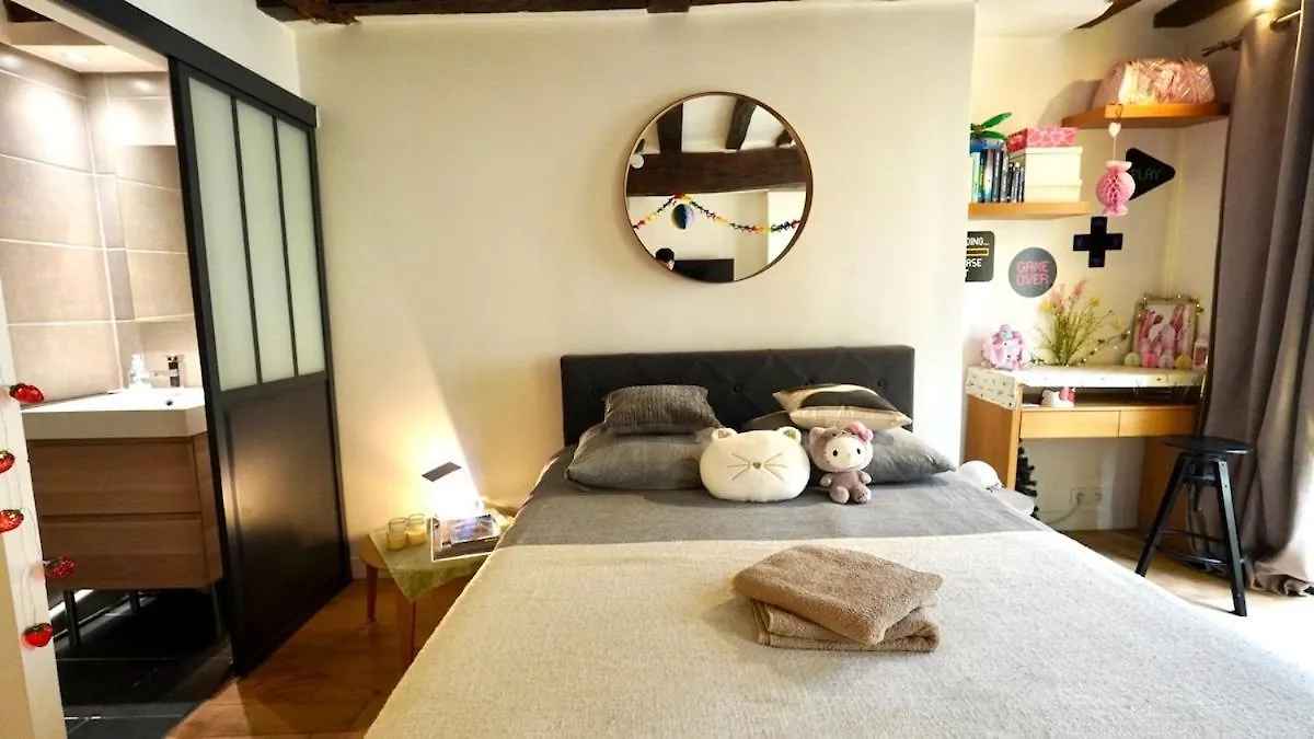 01 Grand Studio At Rambuteau Paris Apartment